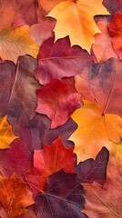 Fototapeta premium A pile of colorful autumn leaves, spread out on the ground, in various shades and shapes of reds, oranges, yellows, and deep browns