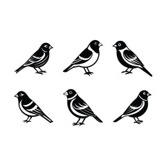  finch on white background, instant Digital Download. Illustration for prints on bags, posters