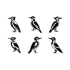 Naklejka premium woodpecker on white background, instant Digital Download. Illustration for prints on bags, posters