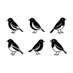 Robin Bird Vector  on white background, instant Digital Download. Illustration for prints on bags, posters