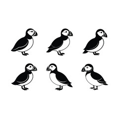 Puffin Bird Vector  on white background, instant Digital Download. Illustration for prints on bags, posters