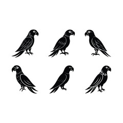 Obraz premium macaw on white background, instant Digital Download. Illustration for prints on bags, posters