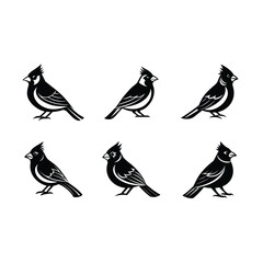 Fototapeta premium cardinal on white background, instant Digital Download. Illustration for prints on bags, posters