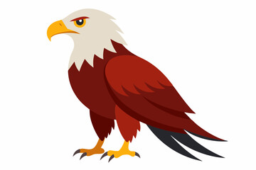 Obraz premium Beautiful high-resolution vector illustration of Pallas's Fish Eagle