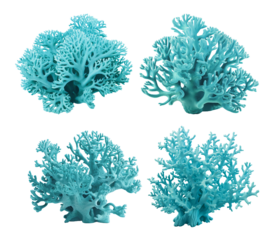 Set of coral reefs, cut out