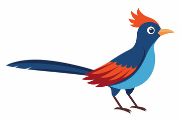 Obraz premium Vector illustration of oriental cuckoo bird on white background