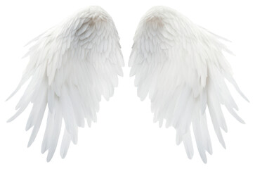 Fototapeta premium PNG White angel wing bird archangel softness.