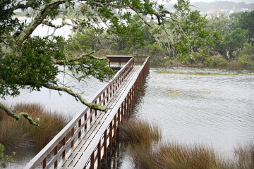 A long pier trailing out over the marsh water off the coast of North Carolina.
