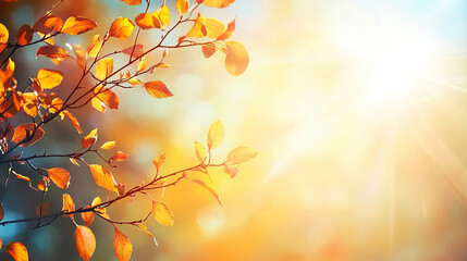 Fototapeta premium Art autumn sunny nature background 