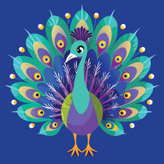 Fototapeta premium peacock feather on a branch A peacock displaying its full array of colorful tail feathers, Hand drawn peacock Vector solid color background