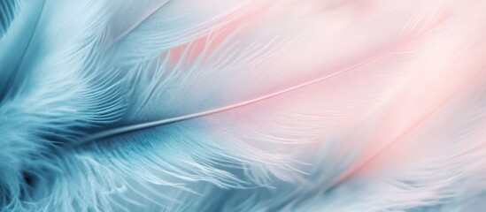 Soft Pastel Feathers
