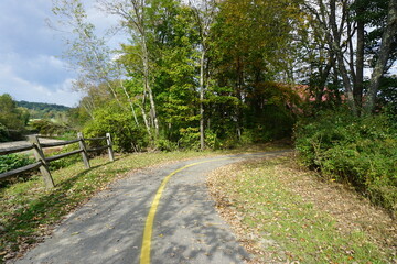 Obraz premium road in the forest