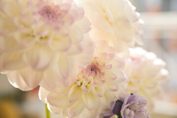 Bouquet with beautiful white dahlias in a vase indoors