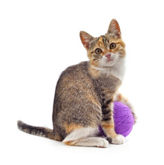 Kitten with a ball.