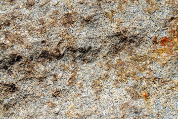 Colored lichen on stone top view