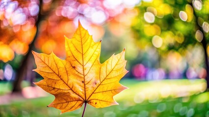 Obraz premium Single autumn leaf with blurred colorful background.