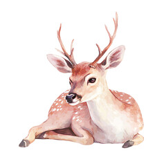 Serene Watercolor Deer Lying Gracefully in Soft Pink Tones on a Transparent Background, Capturing the Tranquility and Elegance of Nature
