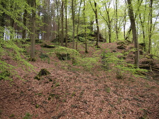 Little Switzerland - Mullerthal (Luxembourg)