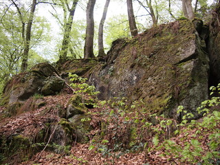 Little Switzerland - Mullerthal (Luxembourg)