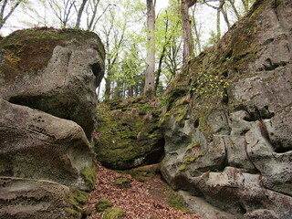 Obraz premium Little Switzerland - Mullerthal (Luxembourg)