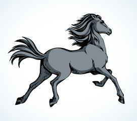 Galloping horse. Vector drawing icon