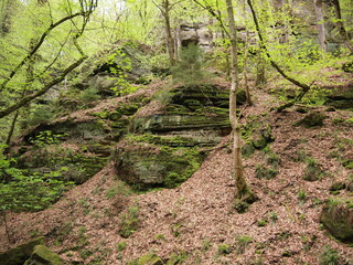 Little Switzerland - Mullerthal (Luxembourg)