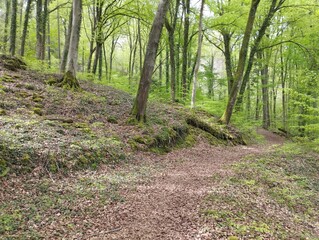 Little Switzerland - Mullerthal (Luxembourg)