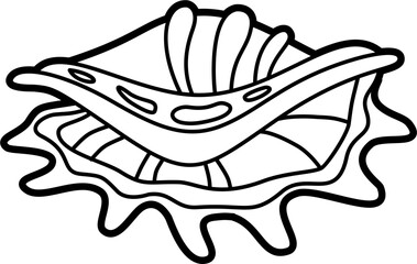 Kima shell outline doodle illustration vector