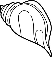 Conch shell outline doodle illustration vector