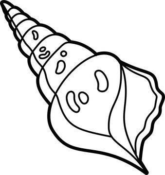 recommend clip art: Whelk shell outline doodle illustration vector