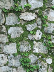Ancient stone wall with moss and ivy growing in the cracks, rich texture and natural decay, symbolizing timeless history and beauty.