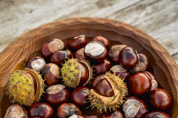 Autumn Chestnuts