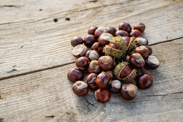 Autumn Chestnuts