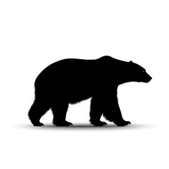 Fototapeta premium Polar Bear Silhouette, Illustration Isolated On White Background