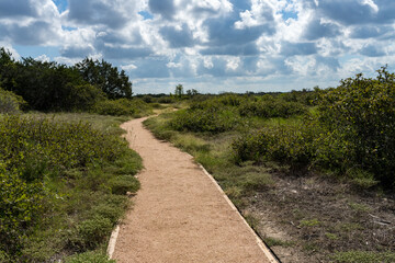 Trail into the wildlife reserve at Shin Oak observation deck in the Balcones Canyonlands National wildlife reserve near Austin Texas