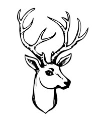 Beautiful noble deer. Vector drawing