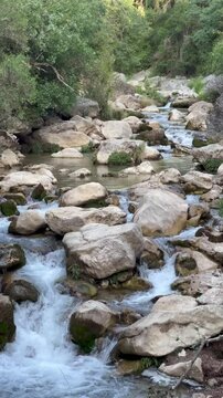 Toma vertical de un arroyo pasando por las rocas del r&iacute;o