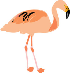 Vector illustration of a isolated flamingo bird standing