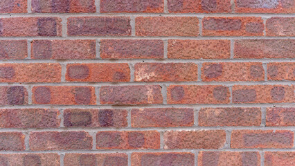 Close-up of a Red Brick Wall Texture