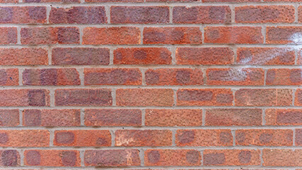Close-up of a Red Brick Wall Texture
