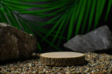 podium for wooden background with tropical palm leaves on black horizaontal photo