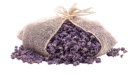 a bag of purple flowers. 
