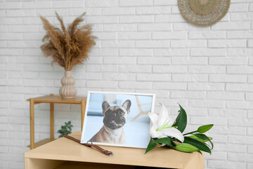 Frame with picture of dog, collar and lily flowers on table against light brick wall. Pet funeral