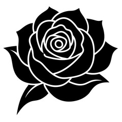 black and white rose vector illustration