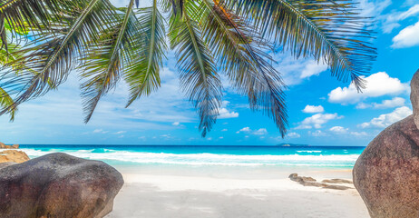 Palm trees and granite rocks in a tropical beach on a sunny day