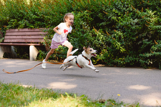The dog got loose off its leash and runs away from young owner in park.