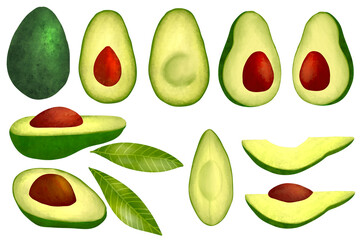 set of avocado illustration watercolor hand drawn isolated on white background 