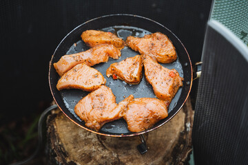Experience the joy of grilling some truly delicious marinated chicken breasts right on a portable grill during your next outdoor adventure
