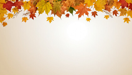 autumn background with leaves
