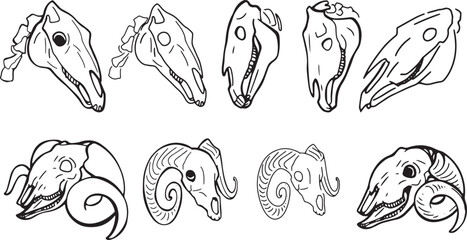 Set Line Halloween Clip art llustration animal skull Ink linear drawing western style coloring. Modern minimalist print design element dead creature contour deceased cattle ram skull outline sheep cow